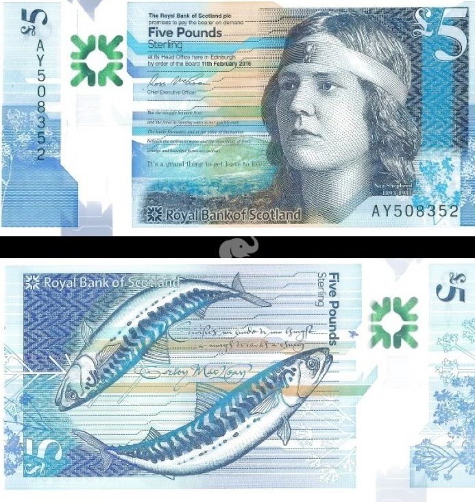 DyslexicFeet🏴󠁧󠁢󠁳󠁣󠁴󠁿 tweet media