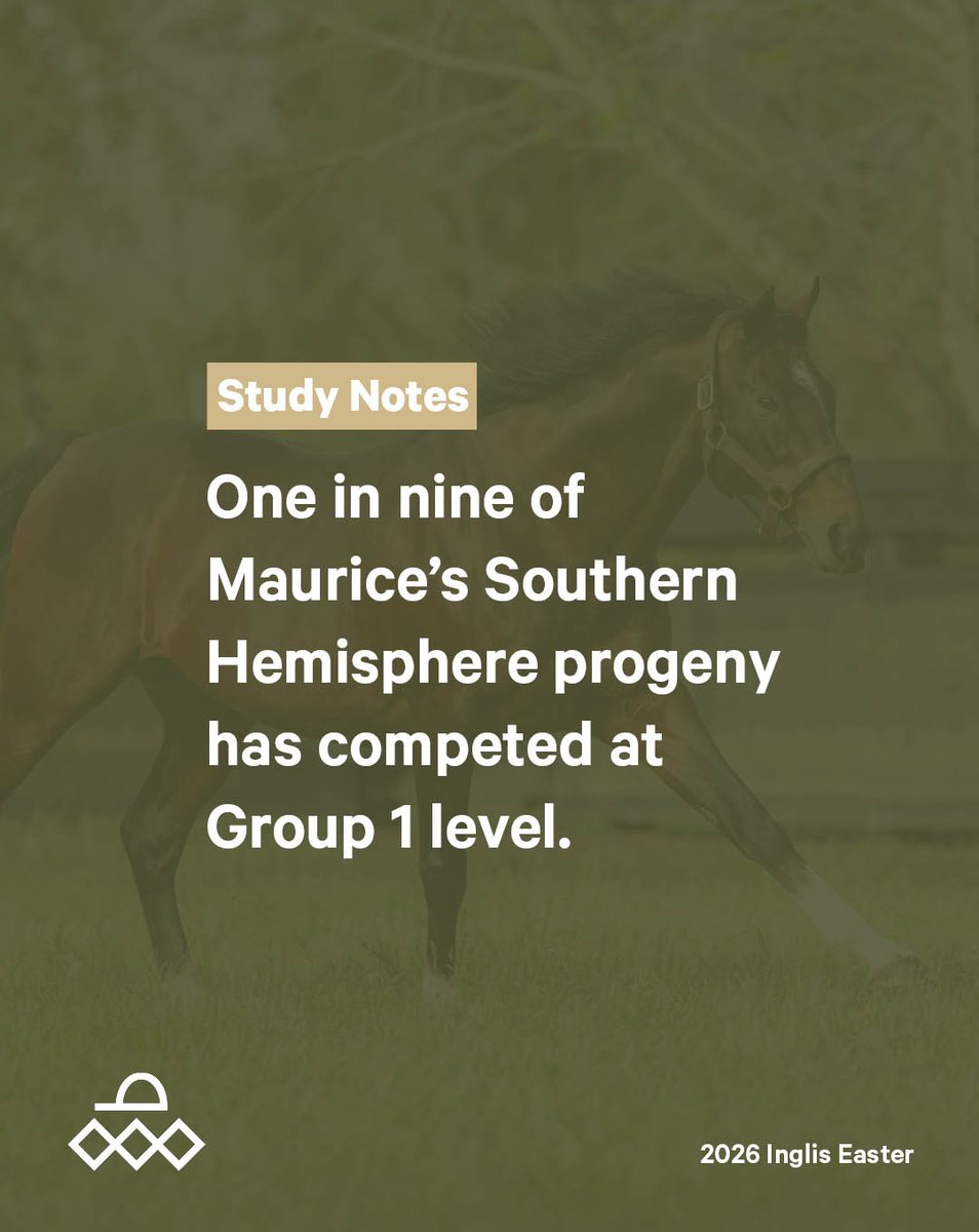 Arrowfield Stud tweet media