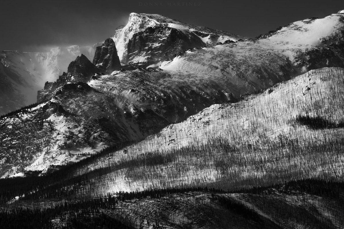 Finding Donna 🖤🤍📷 tweet media