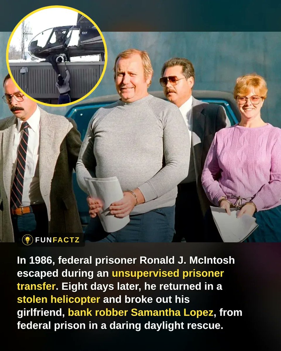Fun Facts tweet media