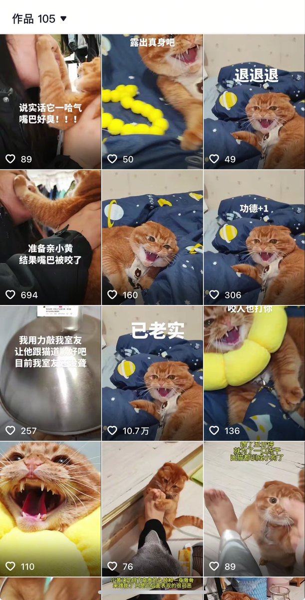 陳冠均 tweet media