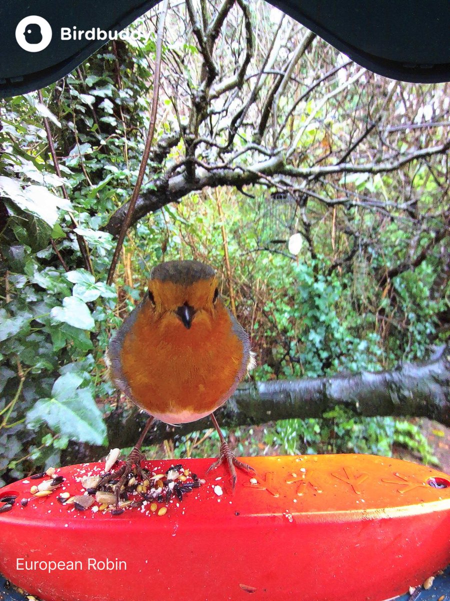 Suzanne Coleman tweet media