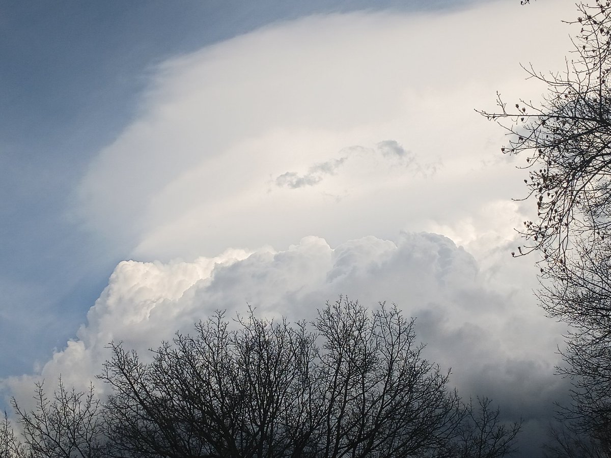 Hazem Sharaf tweet media