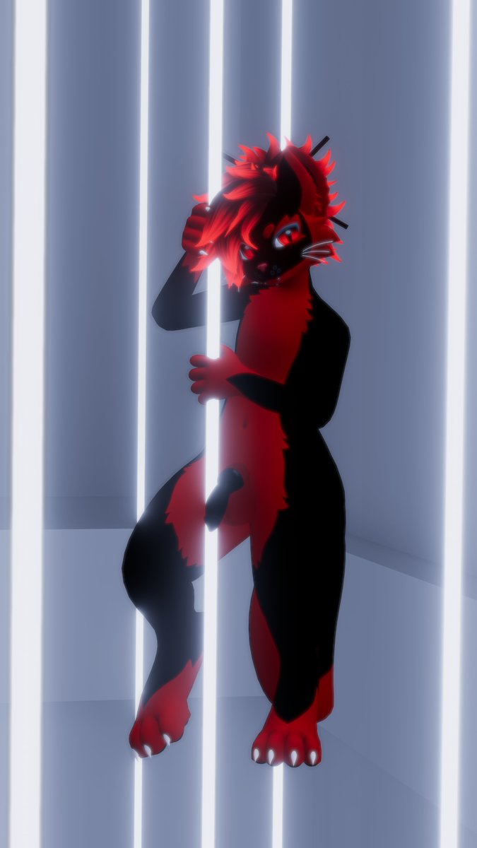 Howl 'N Purr tweet media