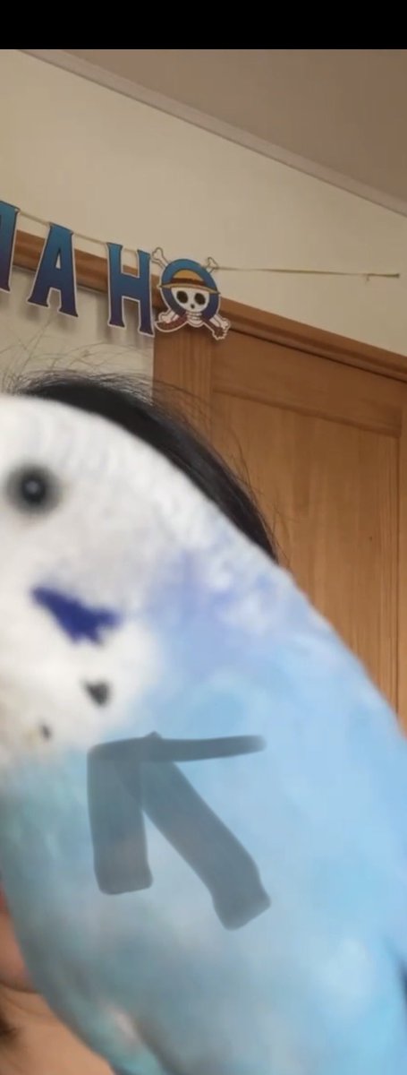 pchan_birdlost's tweet photo. 2026.3.8に自宅から逃してしまったインコのピーちゃんです。

猛省する日々です。

両方のほっぺに、小さいハート模様があります。 https://t.co/GADIz4aXt6