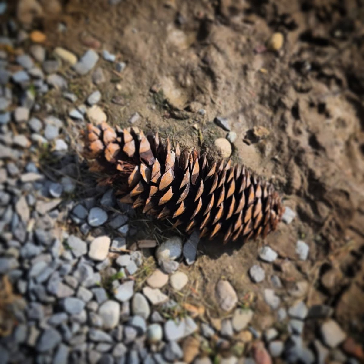 Teddy Wilson tweet media