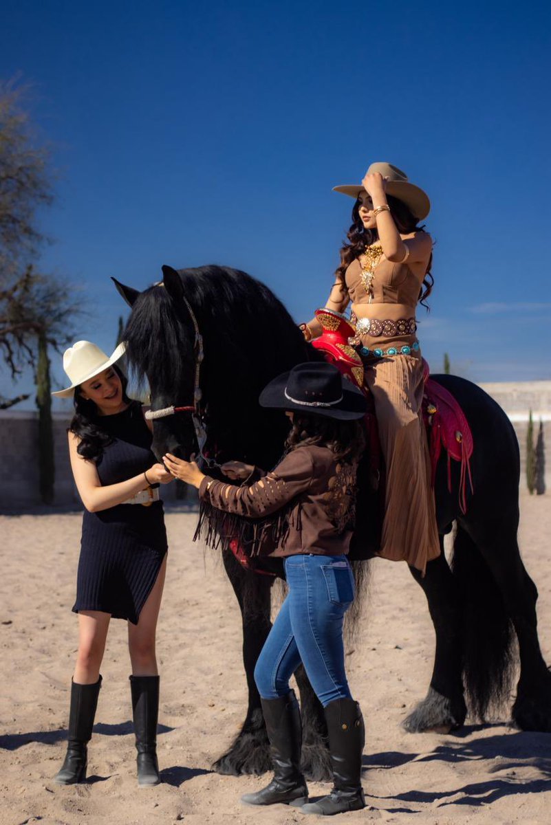 Municipio de Soledad de Graciano Sánchez tweet media
