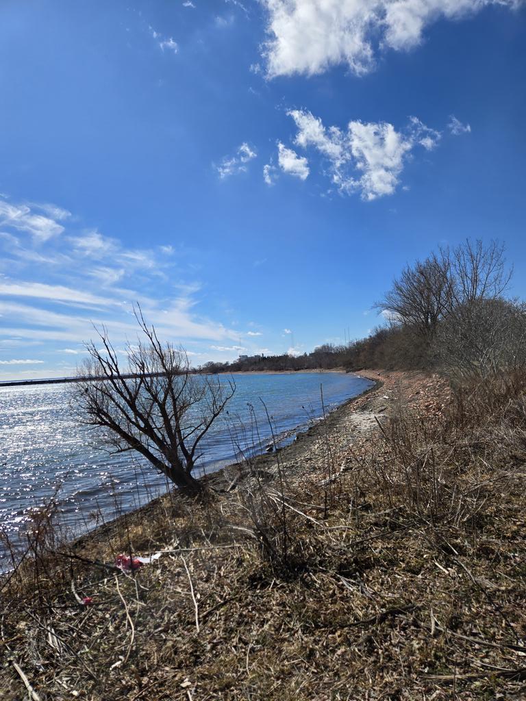 urban_karl95's tweet image. Good day everyone, is a sunny day ☀️ 
#Auckland #LosAngelesChile #EverybodyOut #EveryoneWelcomeOur