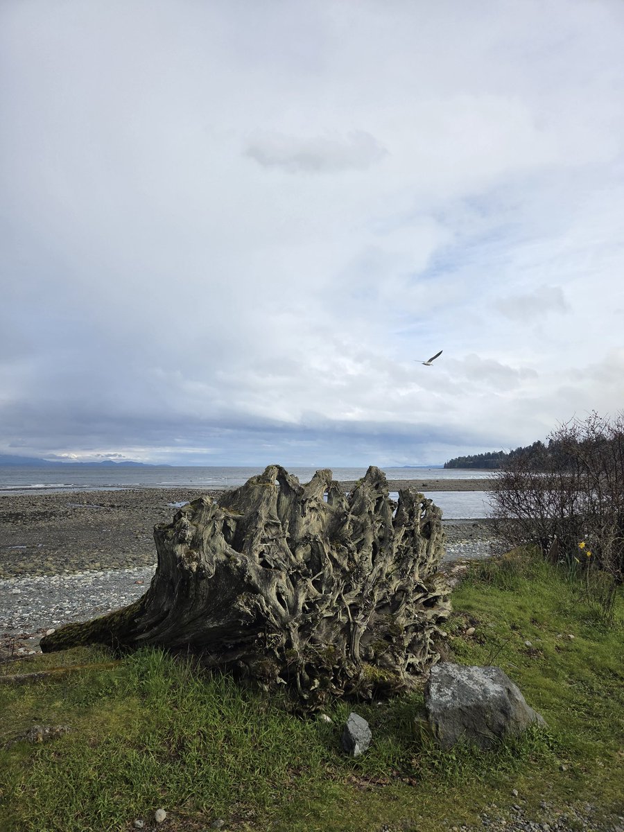 Something about being near the ocean..