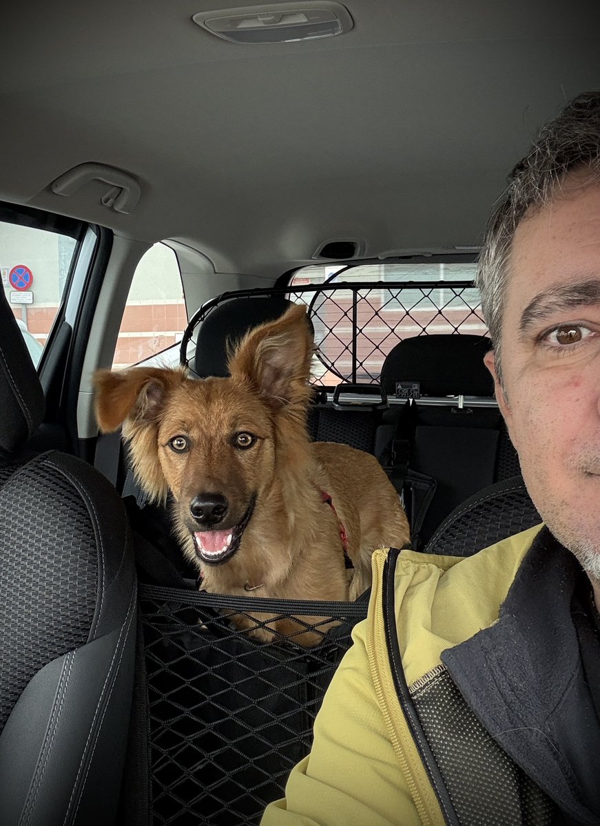 Juan R. Fenicio 菲南 👨🏽⚕️⚕️☣️🌍⛑🇪🇸🇹🇷🦇🐾 tweet media