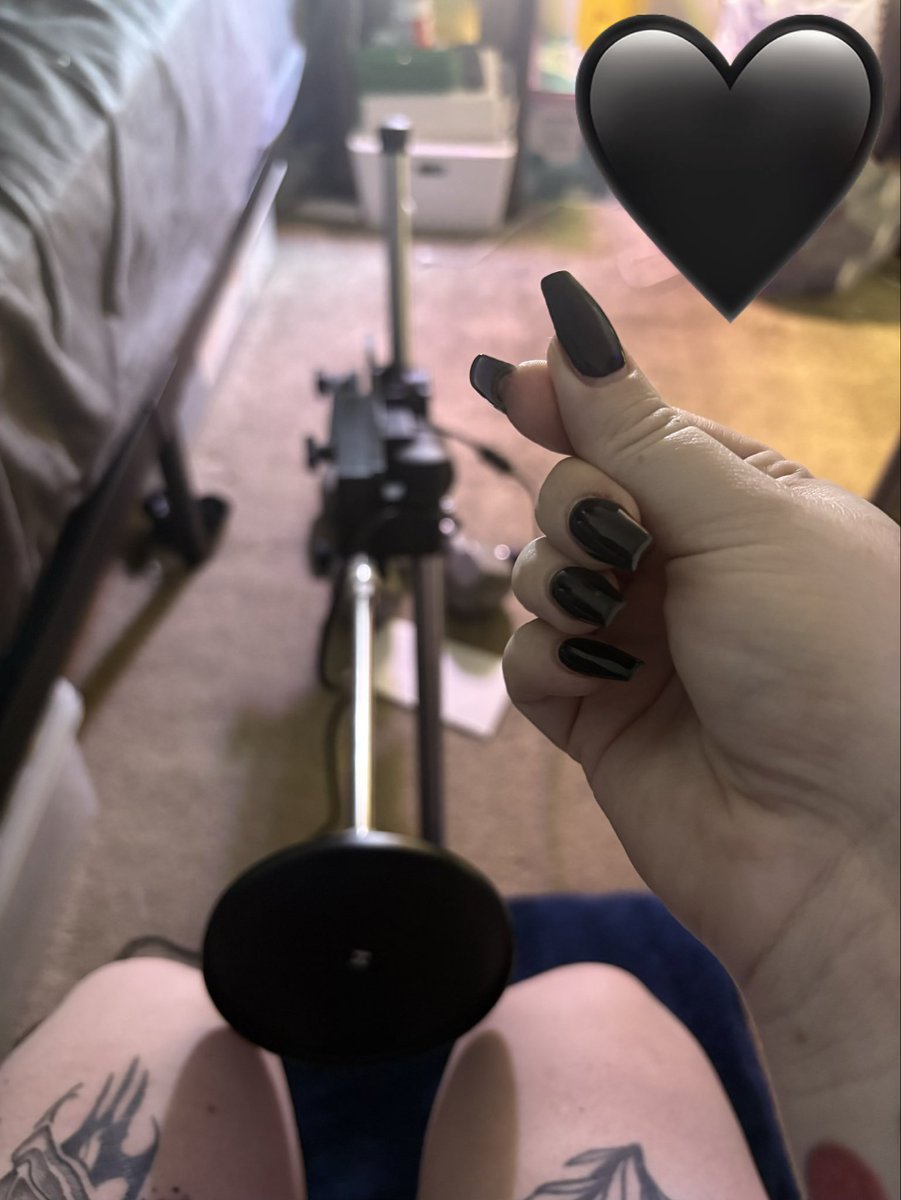 🕸️Miss Boo🕸️ tweet media