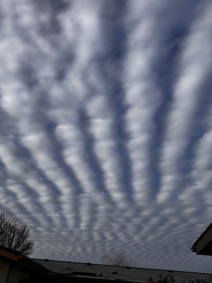 Stacy Presley tweet media