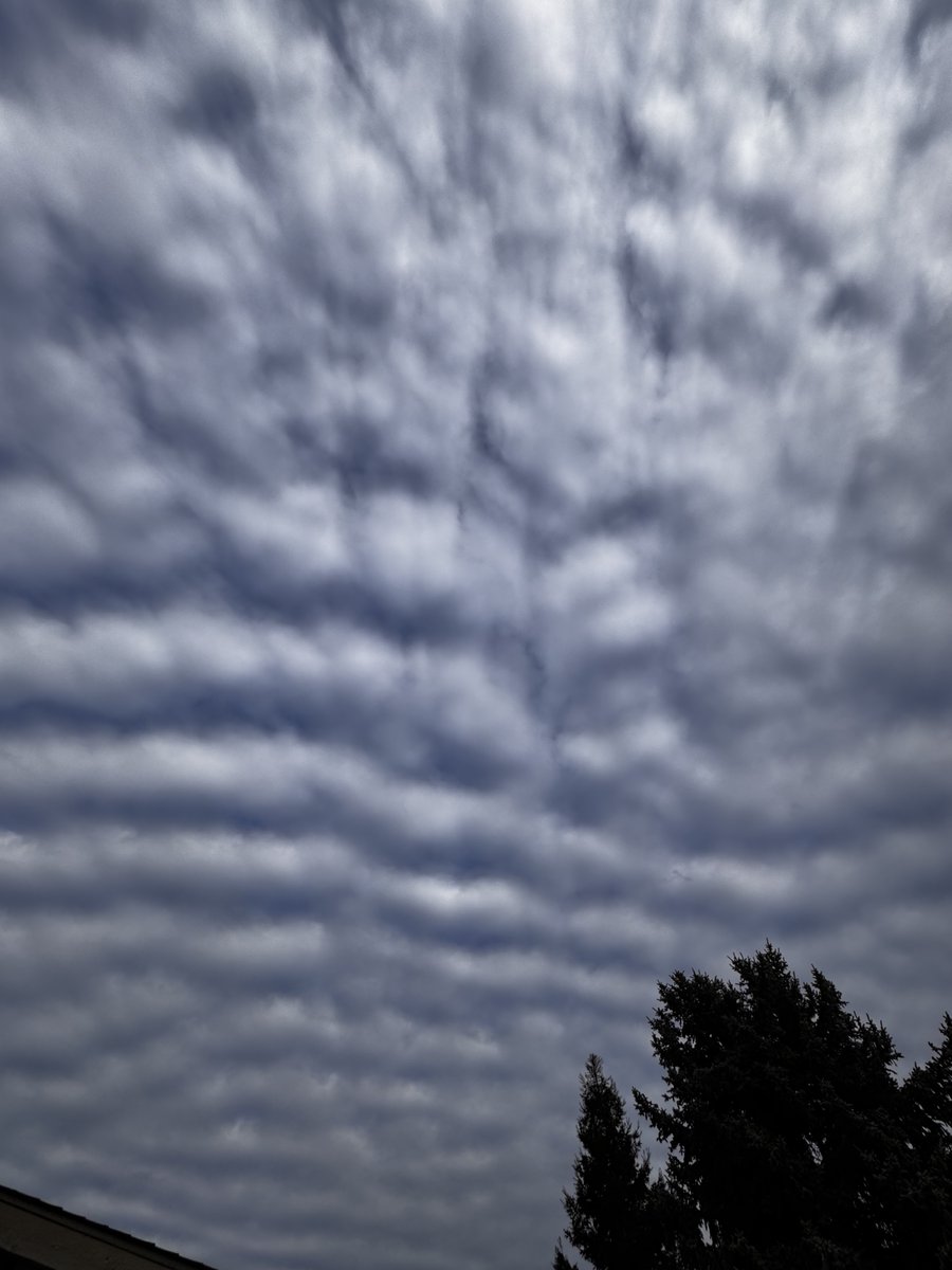 Stacy Presley tweet media