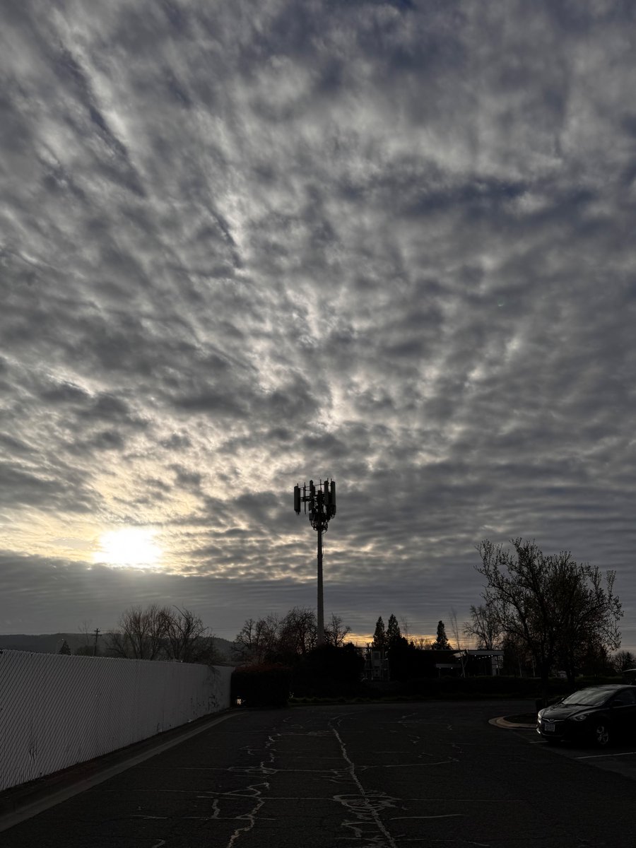 Stacy Presley tweet media