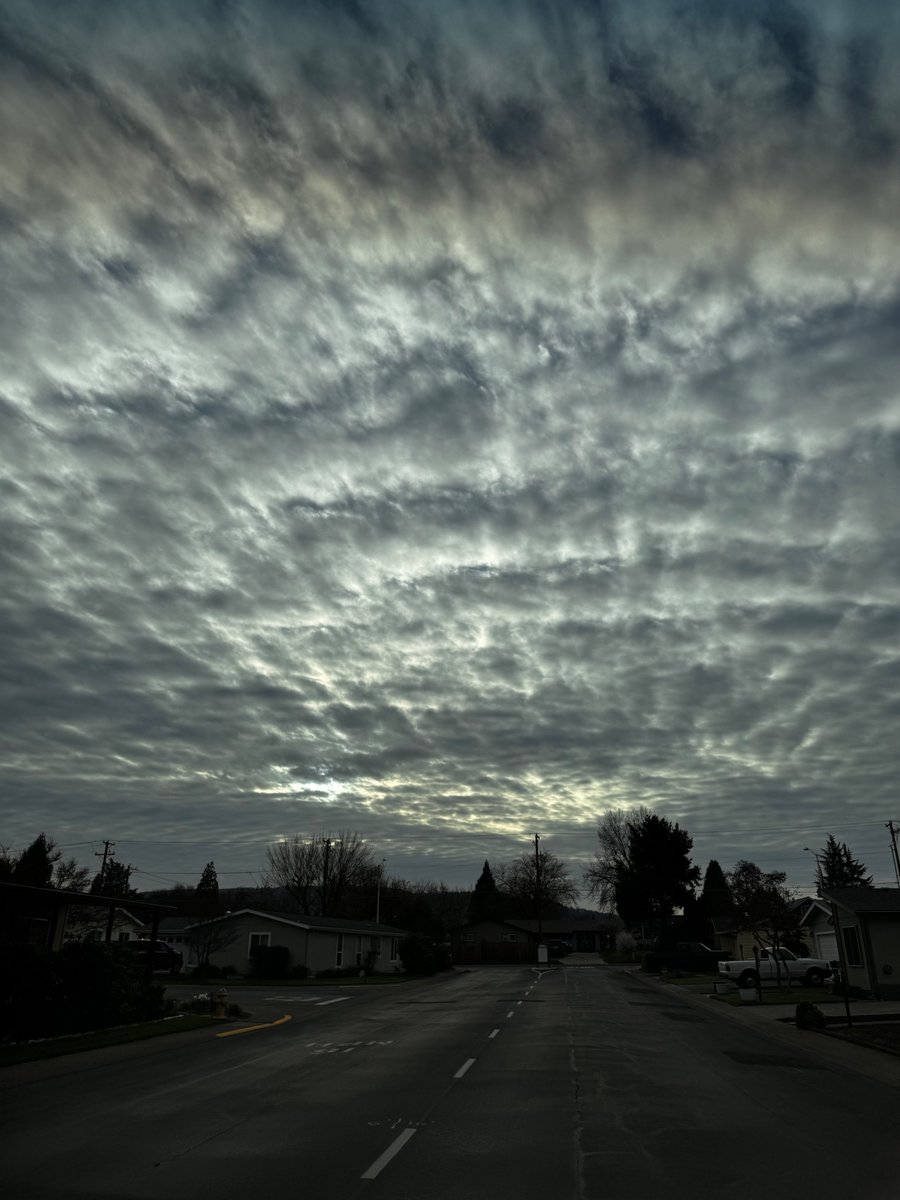 Stacy Presley tweet media