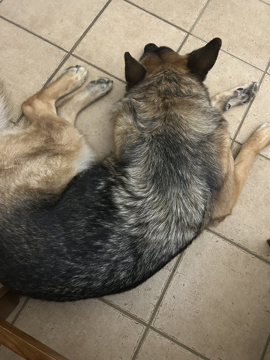 Laura Valverde tweet media