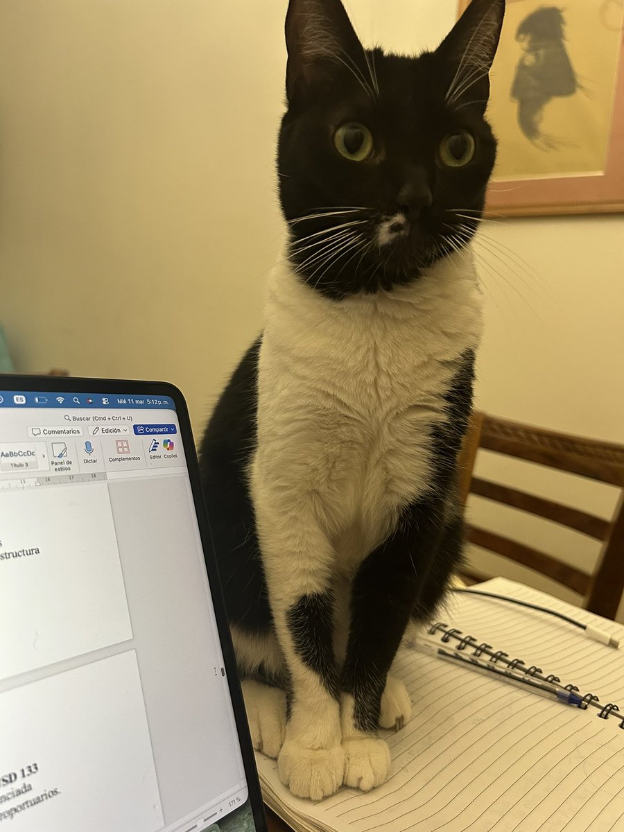 Laura Valverde tweet media