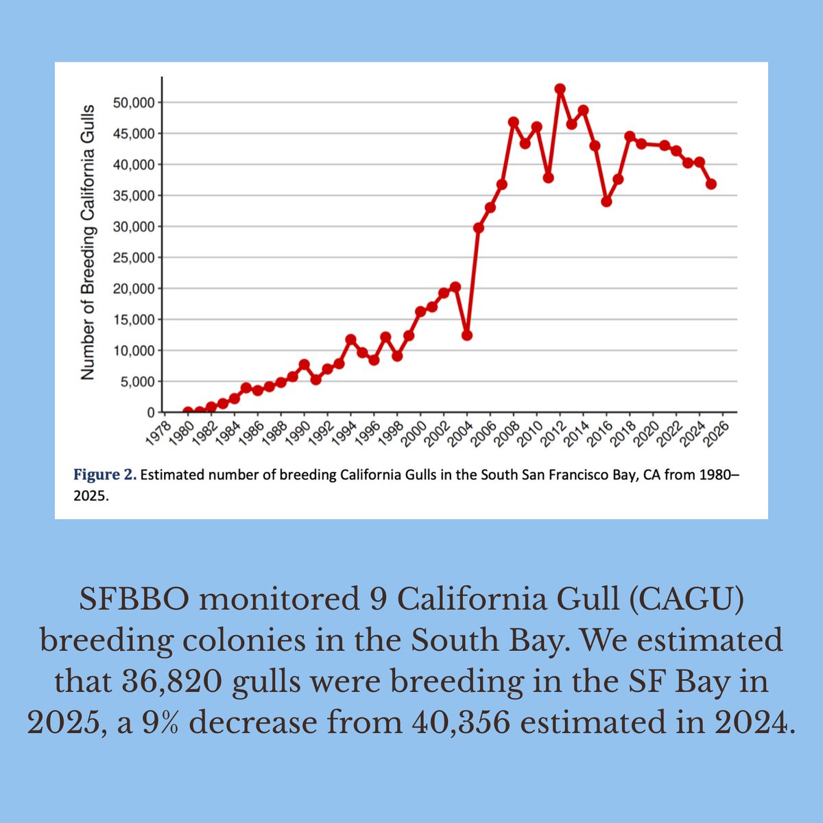SF Bay Bird Observatory tweet media