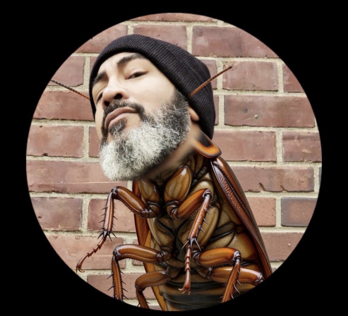 Ilhan Smollet’s Brother tweet media