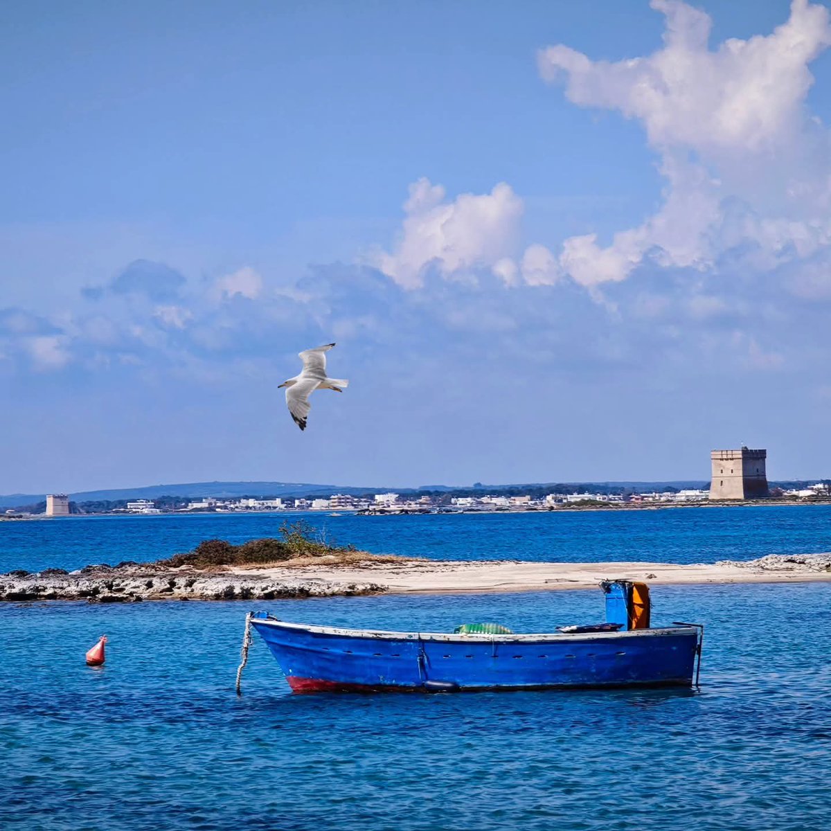 Dadda2016's tweet image. Ora ti canto il mare 💙
.
#salento #portocesareo #mare