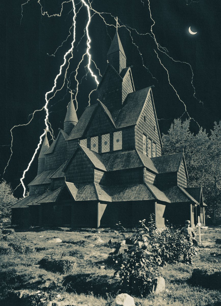 post wook ✨🌻 tweet media