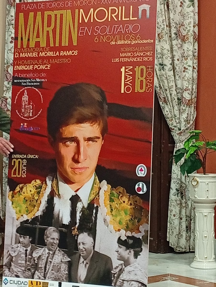 7 TOROS 7 tweet media