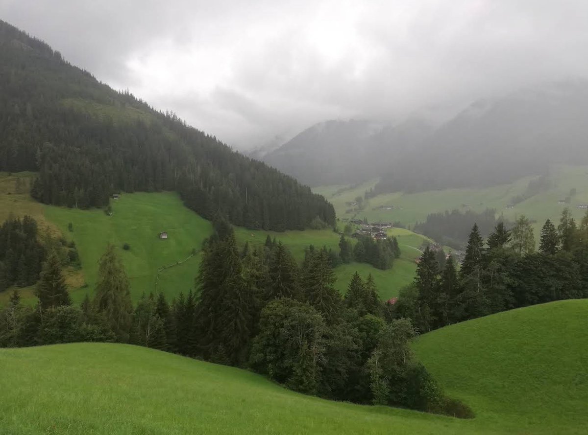 عبدالرحمن #النمسا 🇦🇹✈ tweet media