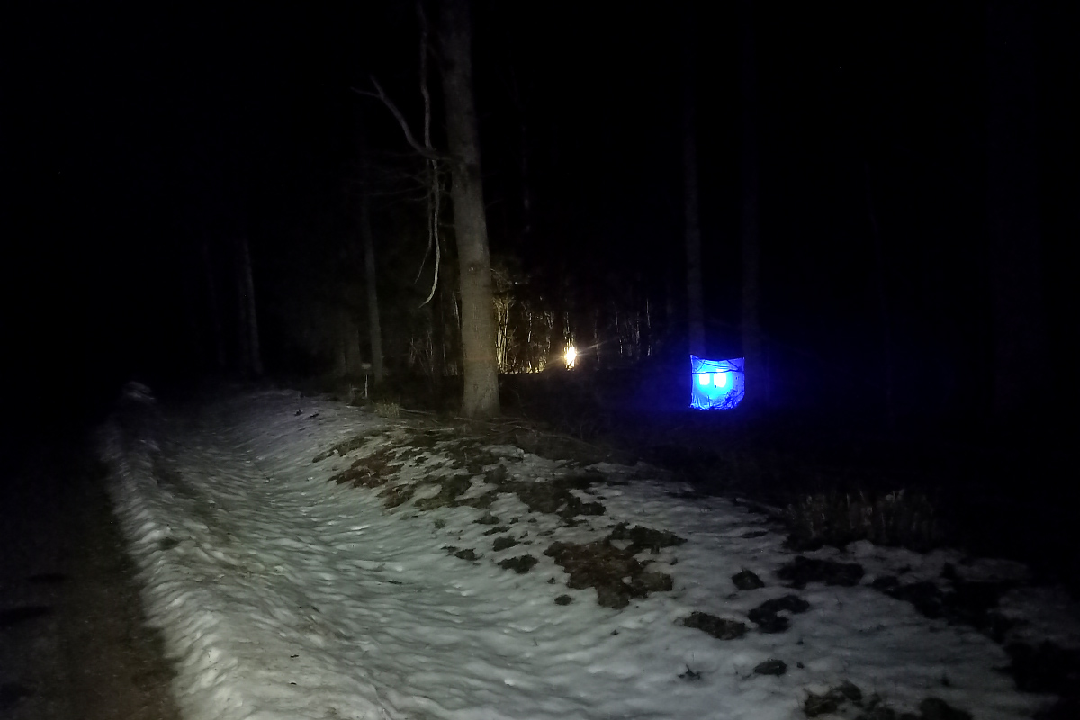 Uģis Piterāns tweet media