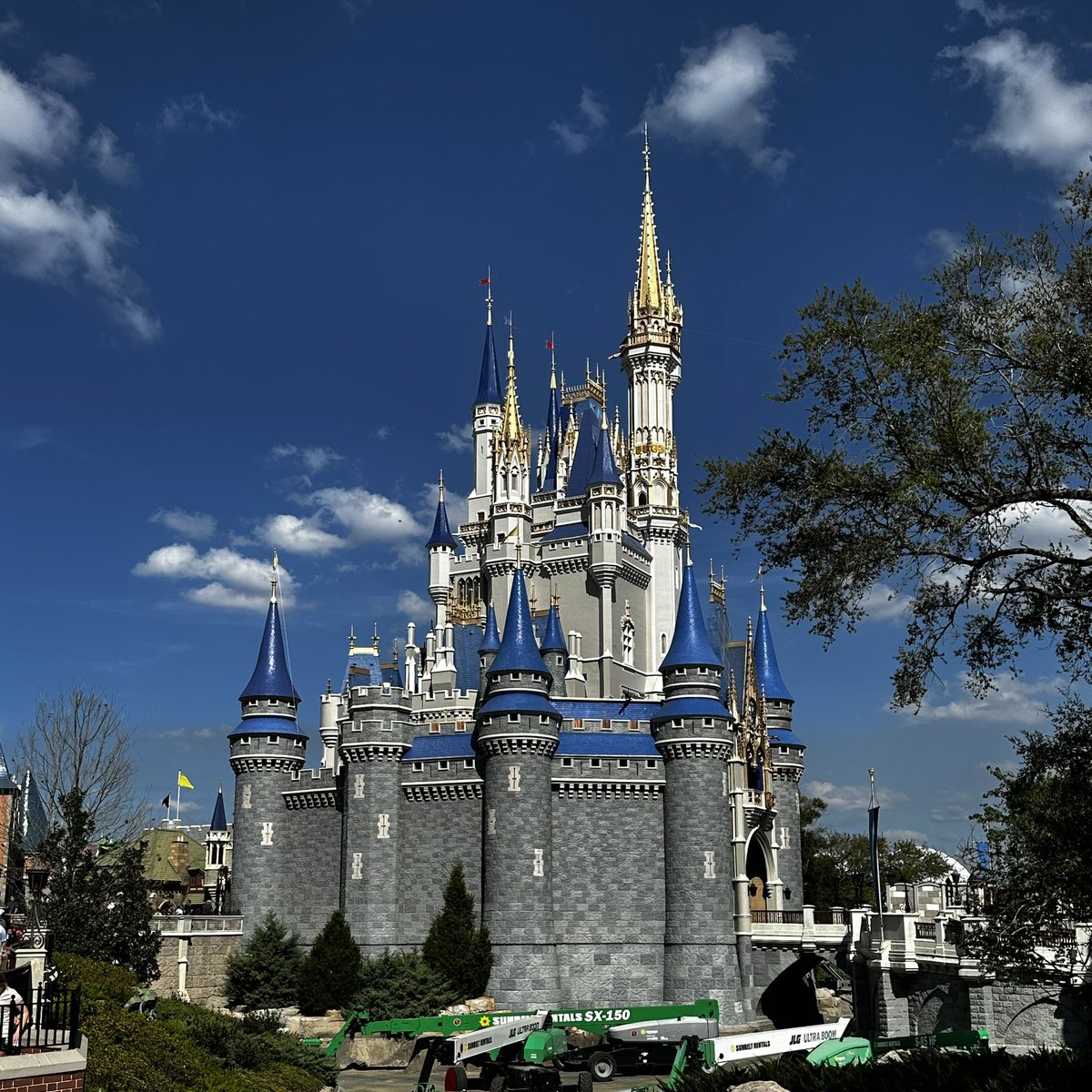 WDWDVC🌴 tweet media