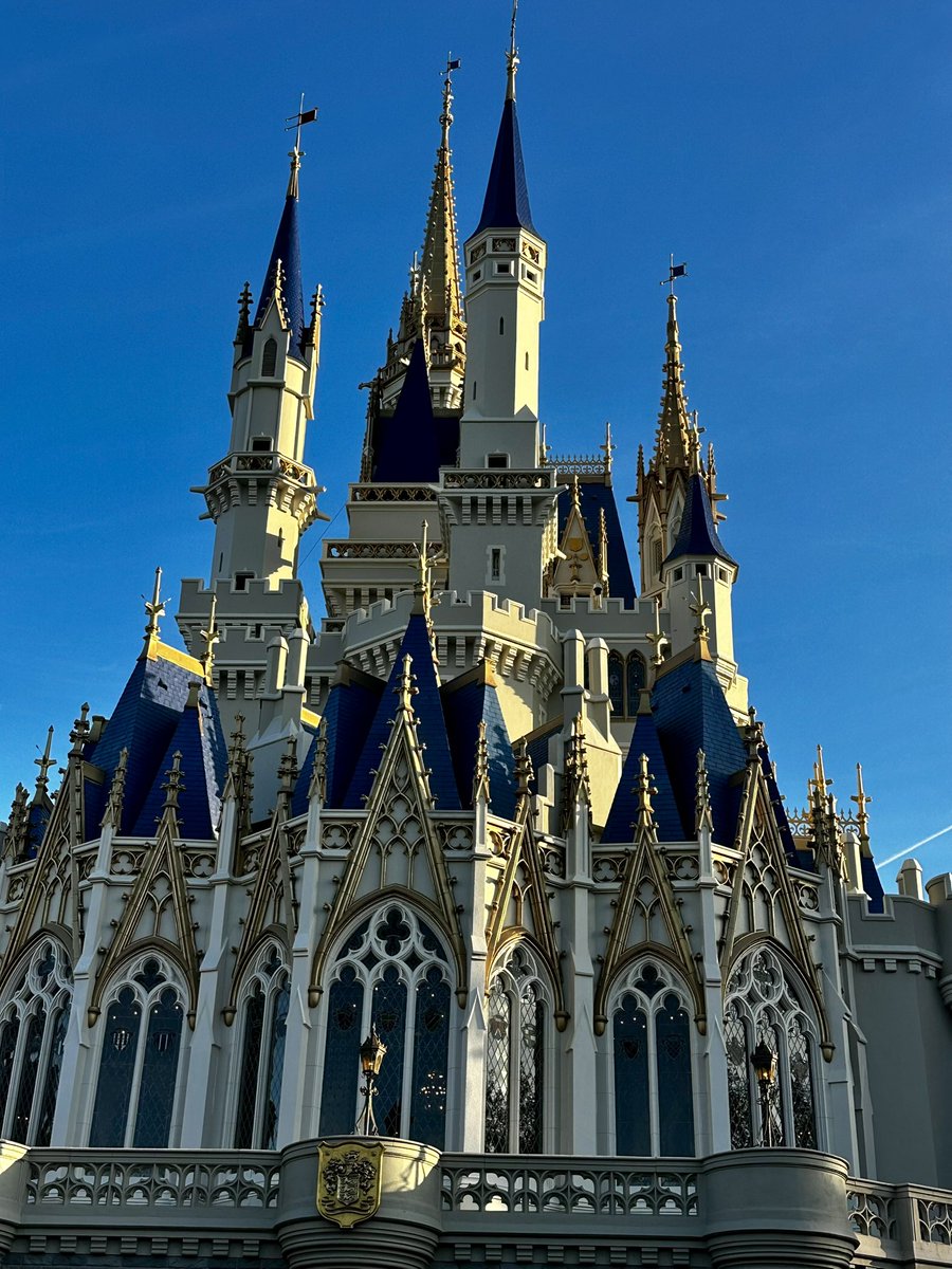 WDWDVC🌴 tweet media