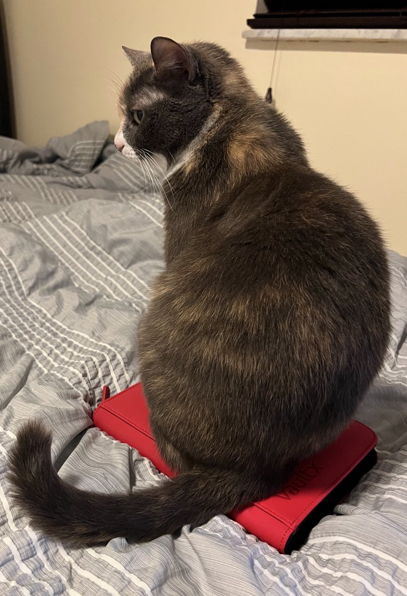 Troy 🌴 tweet media