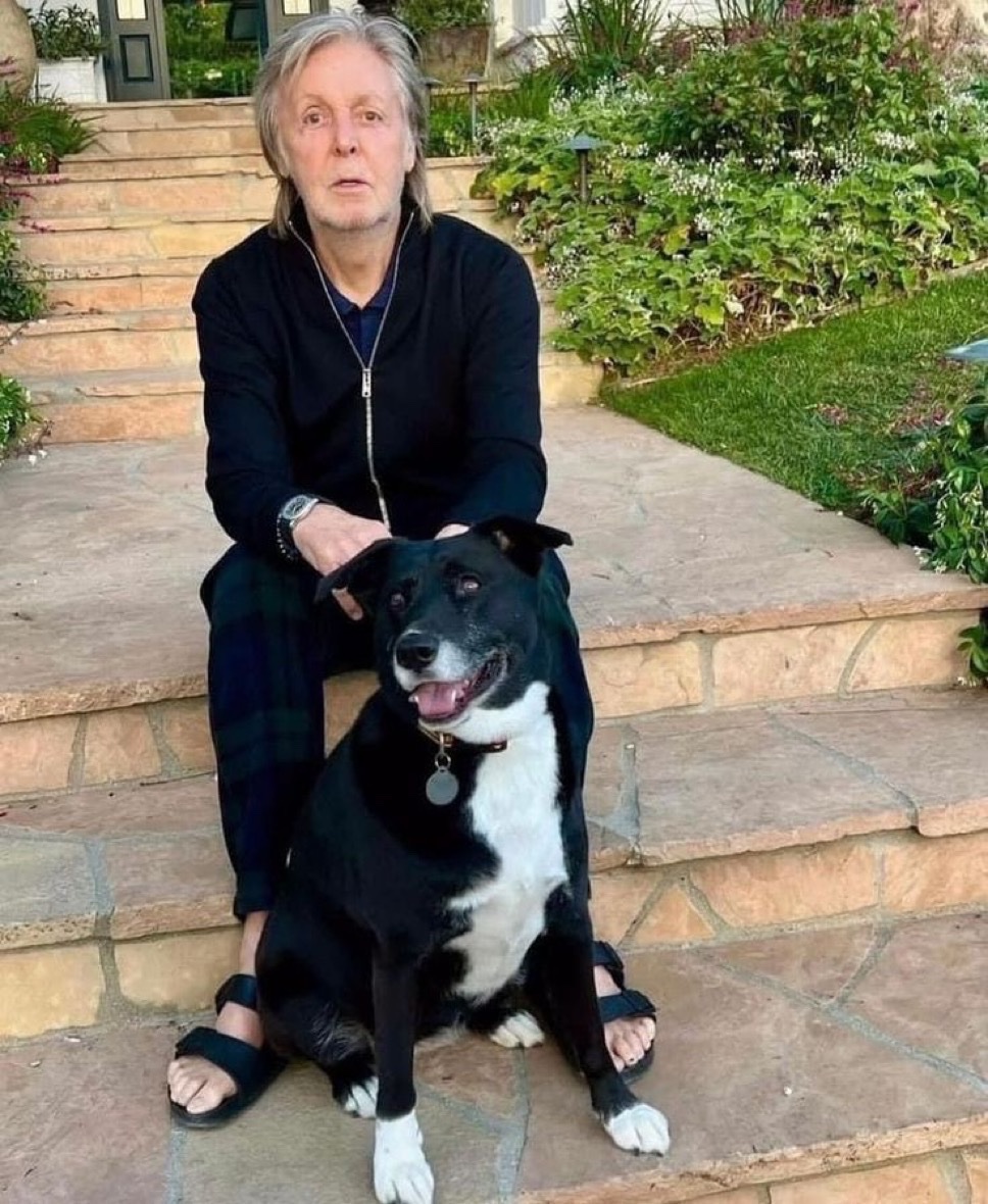 🎸 Rock History 🎸 tweet media