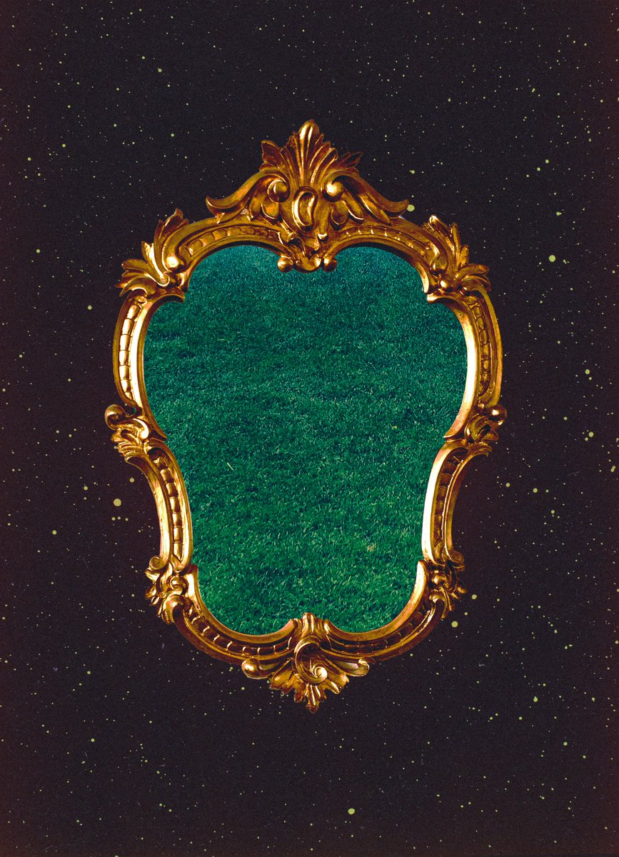 post wook ✨🌻 tweet media