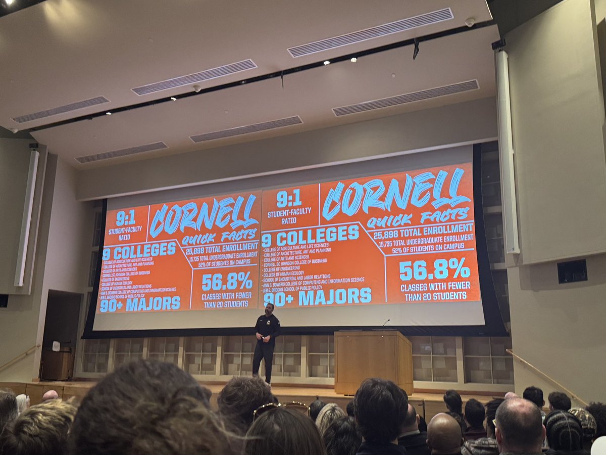 Oliver Costello tweet media