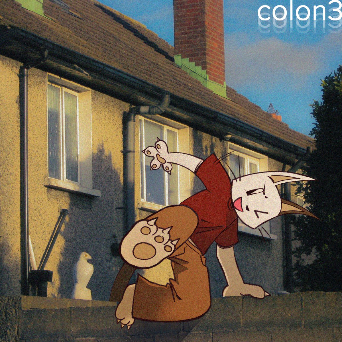 colon3 😼🇮🇪 tweet media