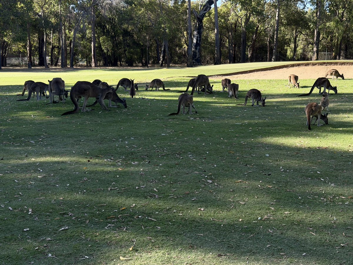 Peter Christie tweet media