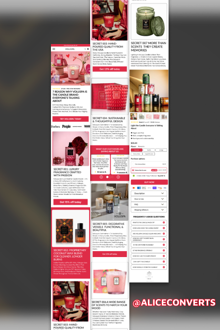 Alice Augustine tweet media