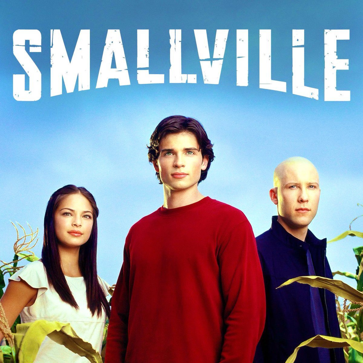 Rogue ⛩️ tweet media