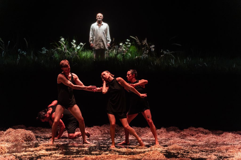 Adelaide Festival tweet media