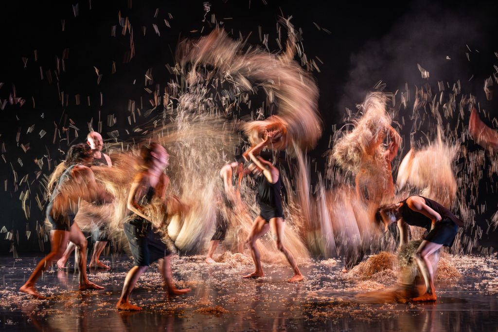 Adelaide Festival tweet media