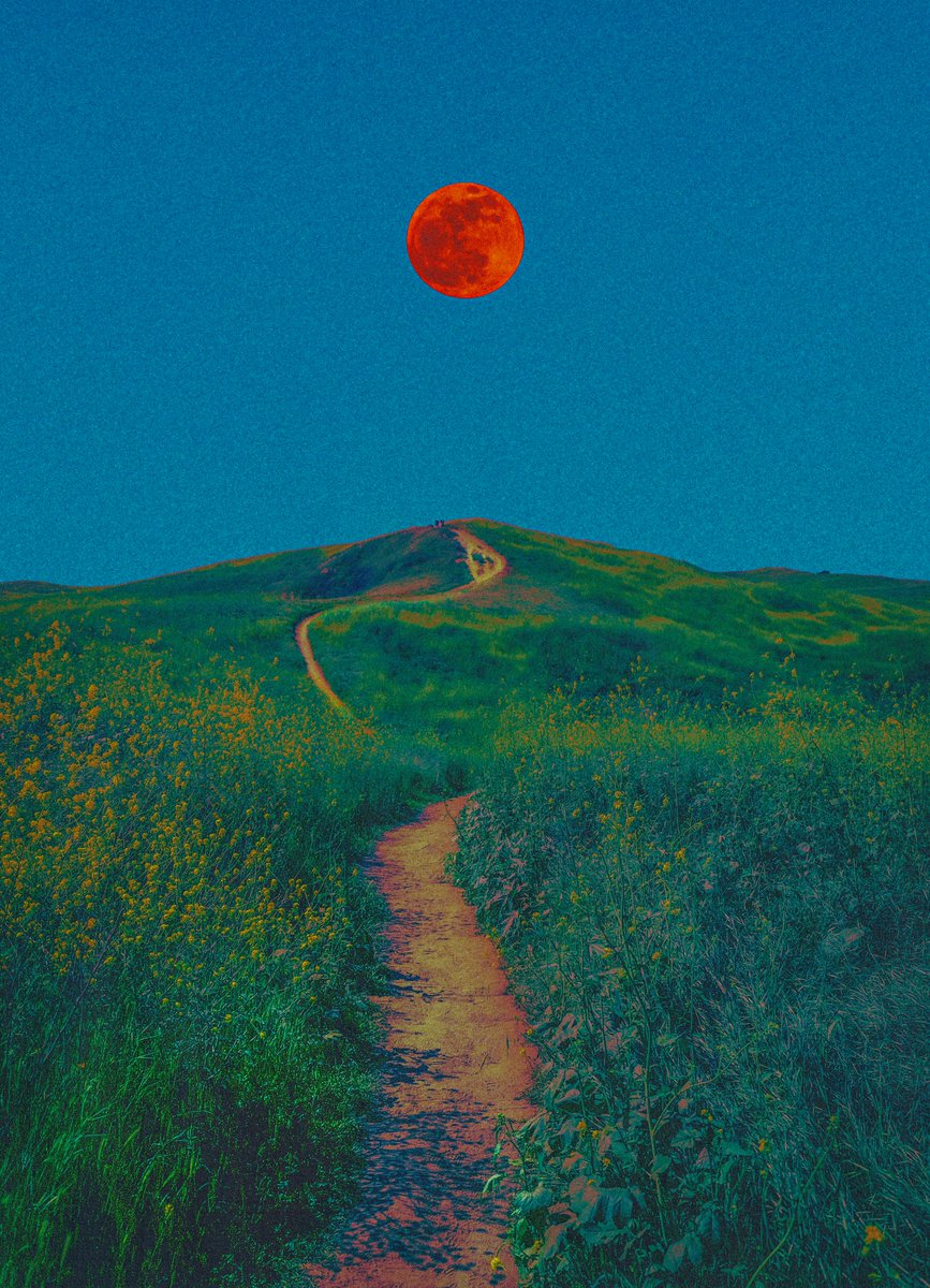 post wook ✨🌻 tweet media