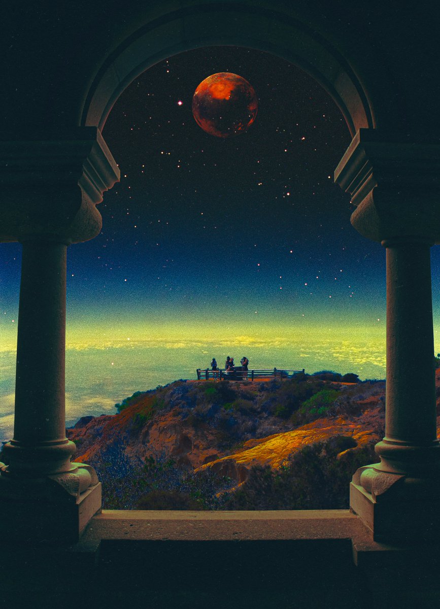 post wook ✨🌻 tweet media