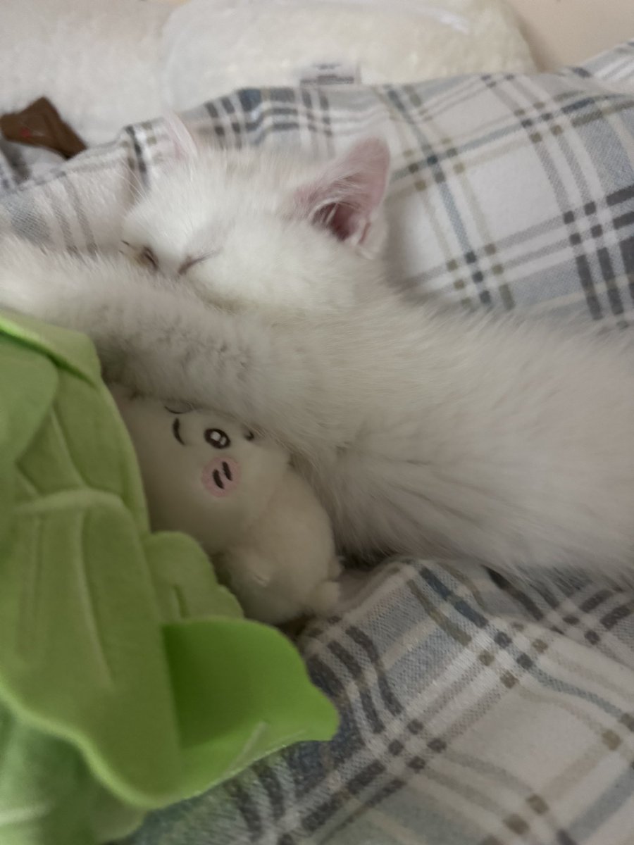 NAVI hiro tweet media