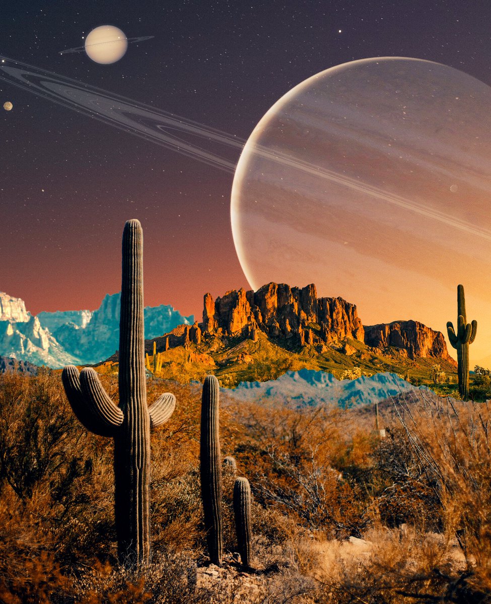 post wook ✨🌻 tweet media