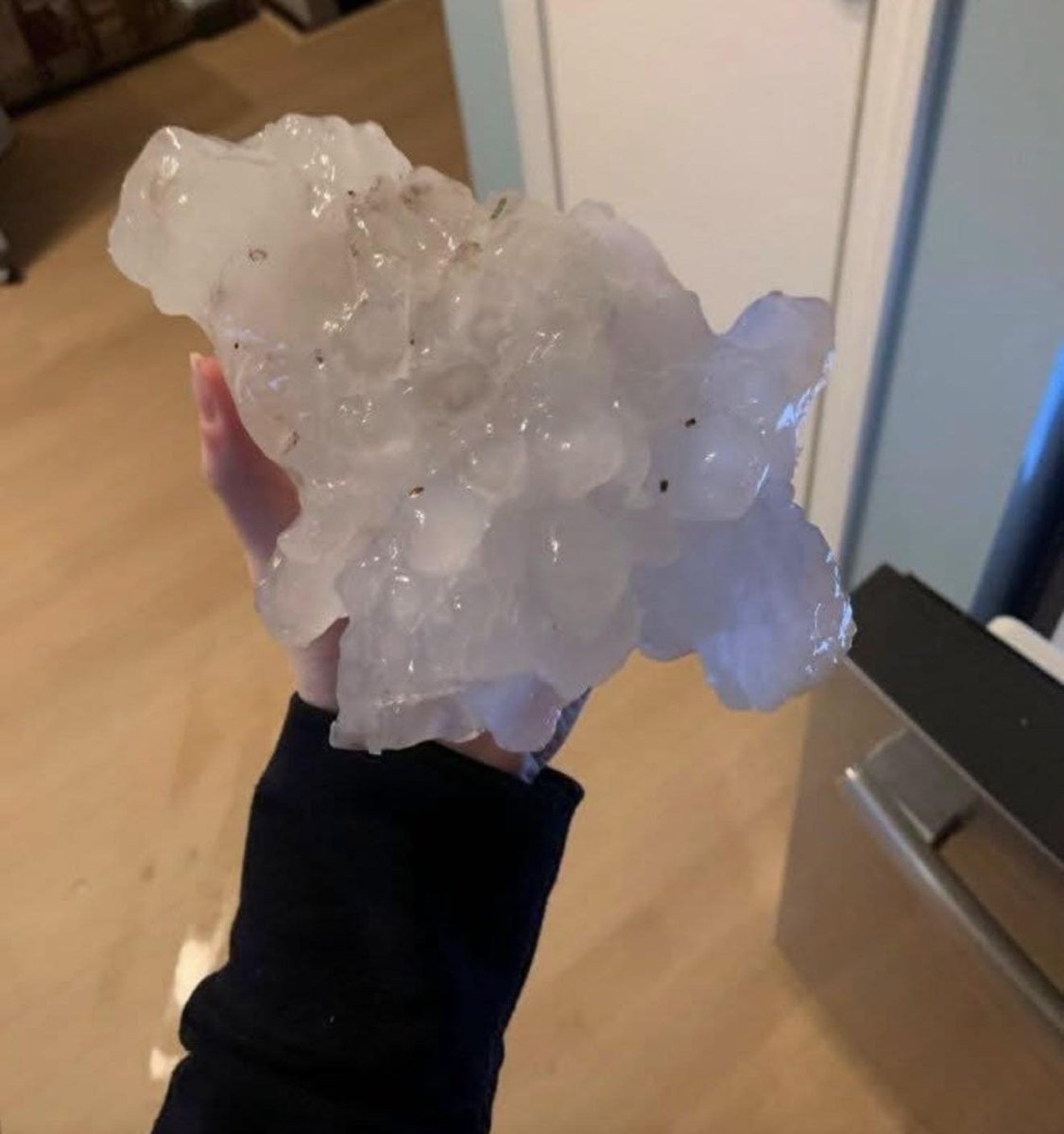 GAME of CCSD tweet media