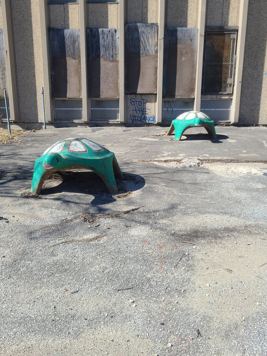 STOP THE VIOLANCE 🗨🐢