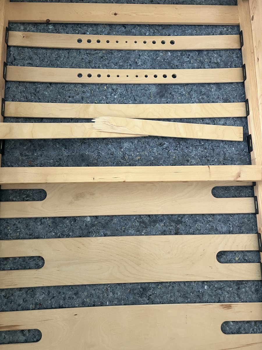 Rachdi sam tweet media