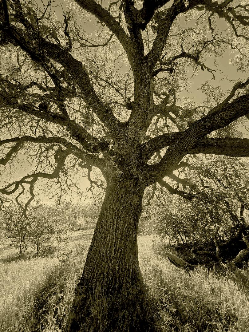 rough_n_ready tweet media