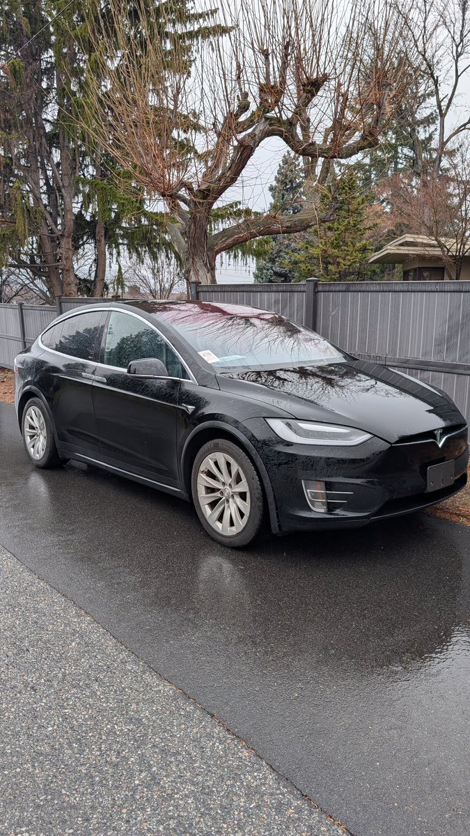 CheapTeslas tweet media