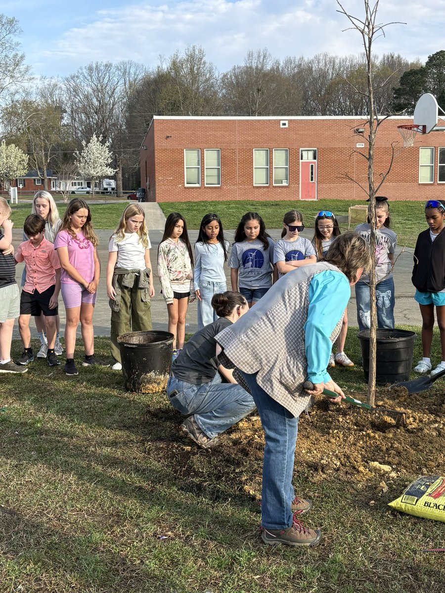 Prospect Elementary School tweet media